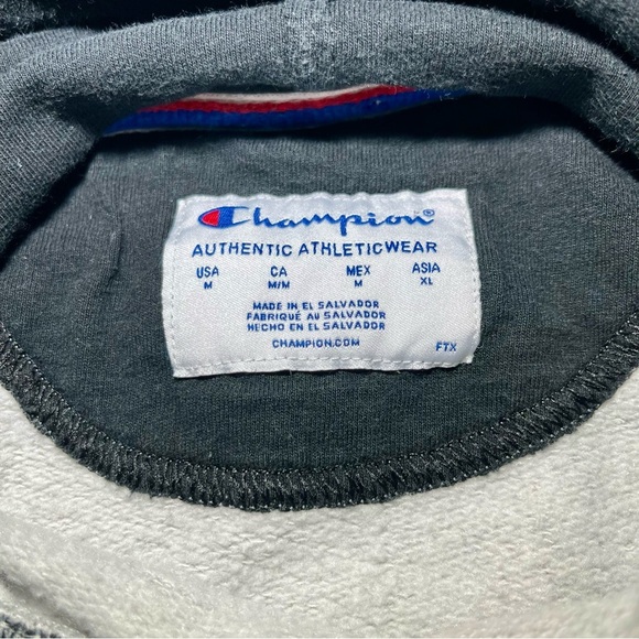 Champion Gray Men's Hoodie Medium - Picture 3 of 4